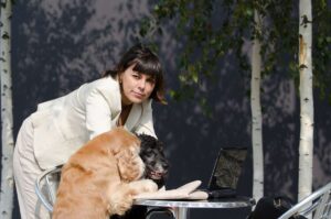 how much do vet techs make
